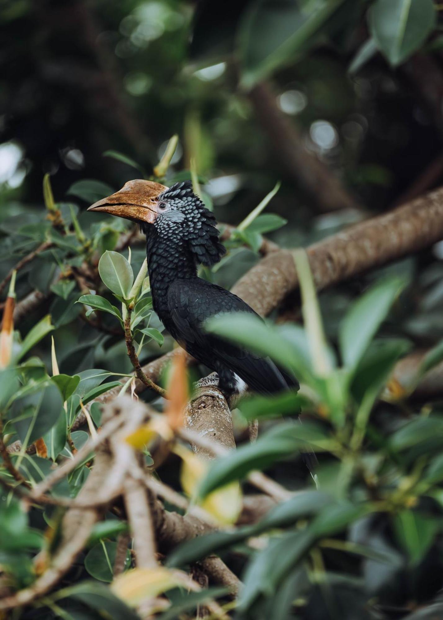 Вилла Aishi Machame Моши Экстерьер фото